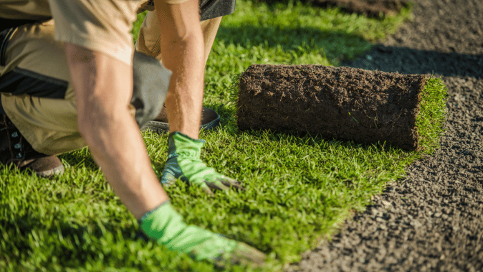Gardener layering fake grass on ground