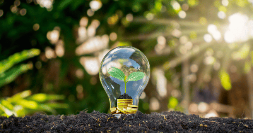 light bulb on soil