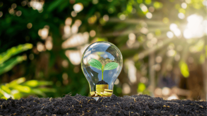 light bulb in soil with a leaf inside