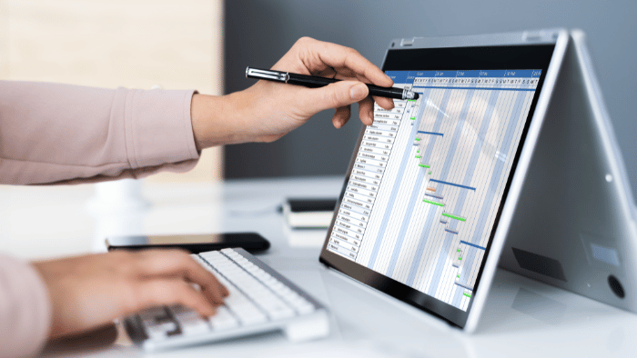 Software system in use