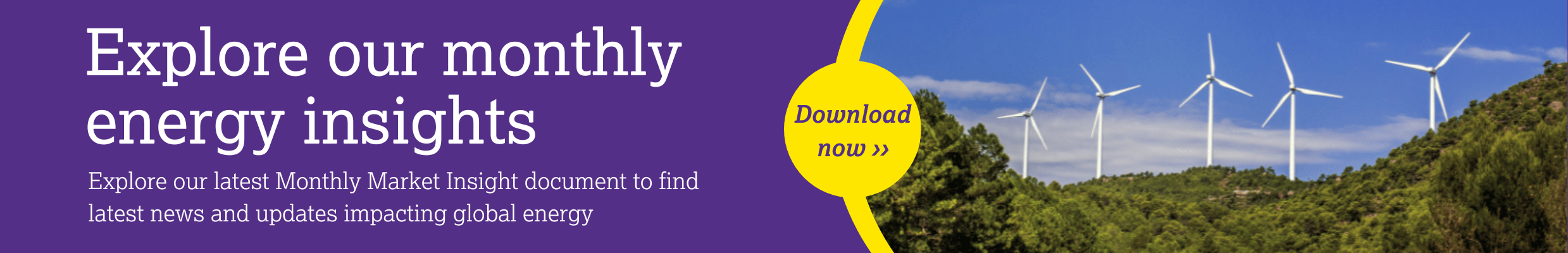 Monthly energy insights