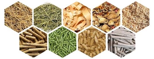 Types of biomass