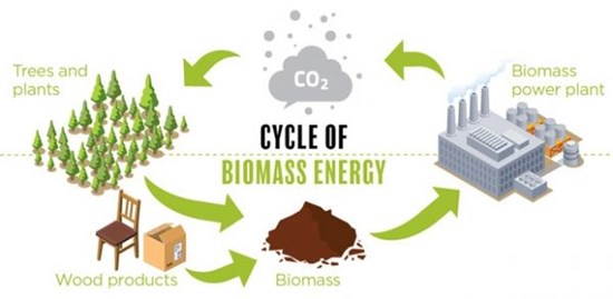 Cycle of biomass energy