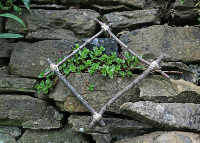 crafting with nature