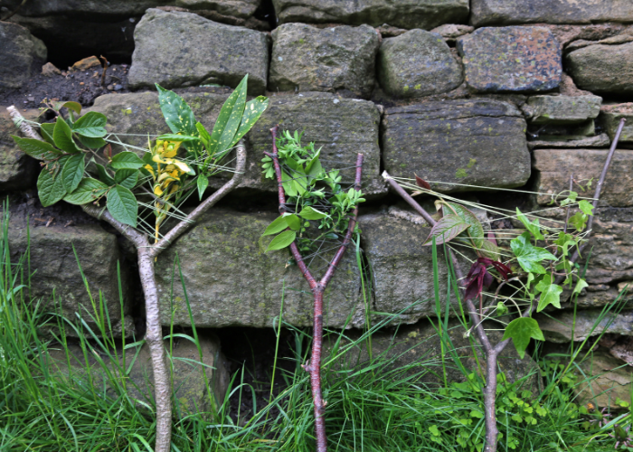 crafting with nature