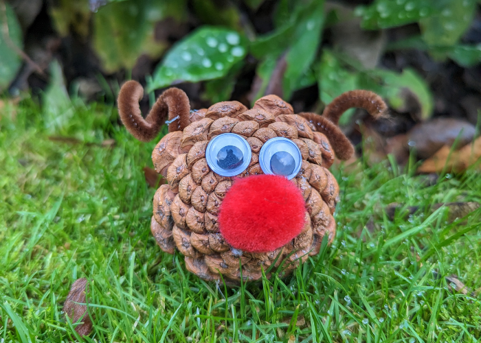 Pinecone Rudolph