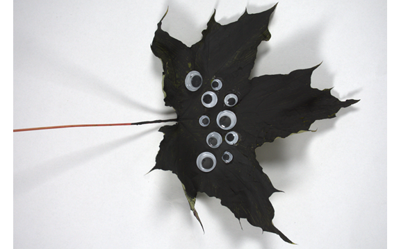 Leaf Monster