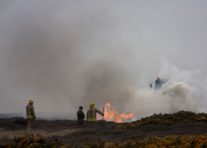 wildfires