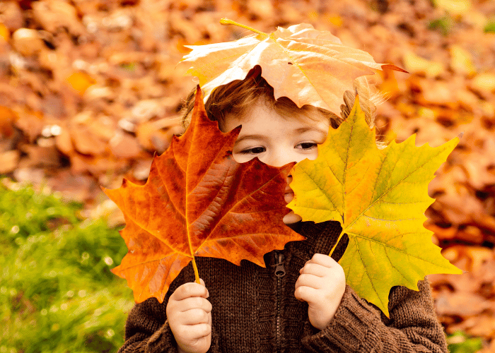 Boy holding up autumn leaves