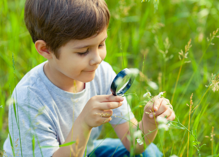 child looking at a flower through a magnifier