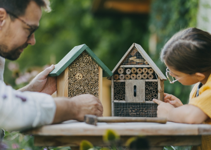 child and teacher inspecting bug hotel