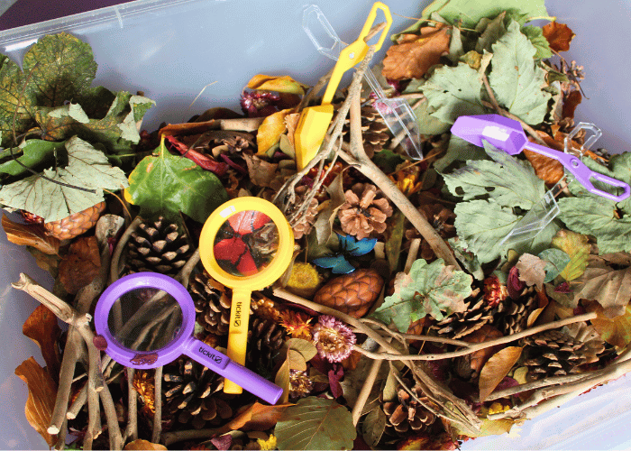 Minibeast Sensory Bin
