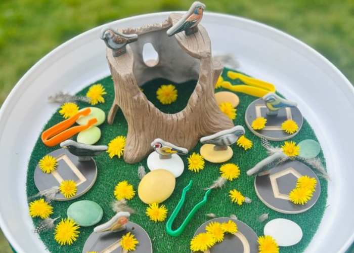 Outdoor learning set up bird themed tray by tufftray_adventures (Instagram)