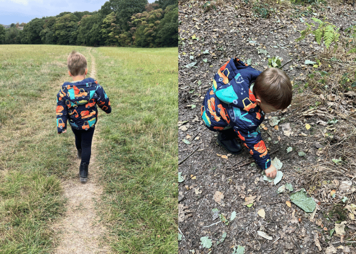 Young child foraging for autumn materials