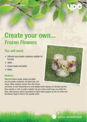 Frozen flower Sensory Activities