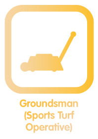 Groundsman apprenticeship standard