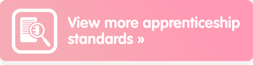 view more apprenticeship standards button