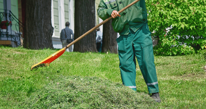 grass maintenance