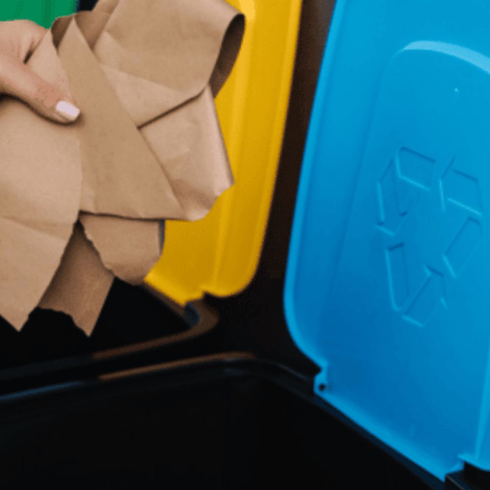 Waste removal services