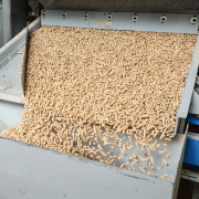 Biomass