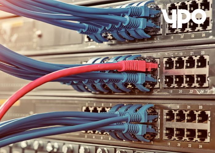 Network Connectivity