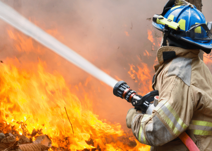fire and rescue service