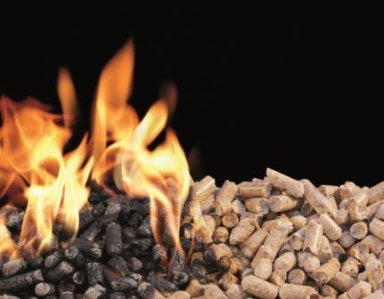 Biomass