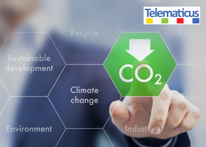Net zero climate change