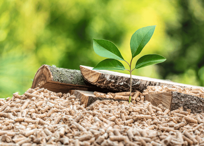 Wiltshire council biomass procurement