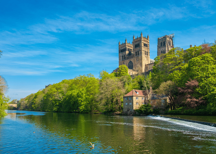 Durham Council - case study image