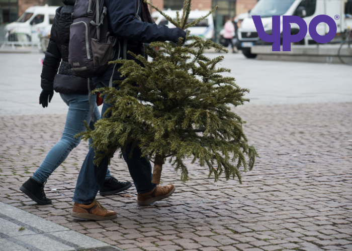 people walking with a christmas tree