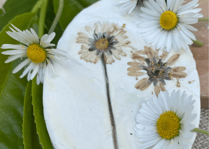 Flowers imprinted in clay