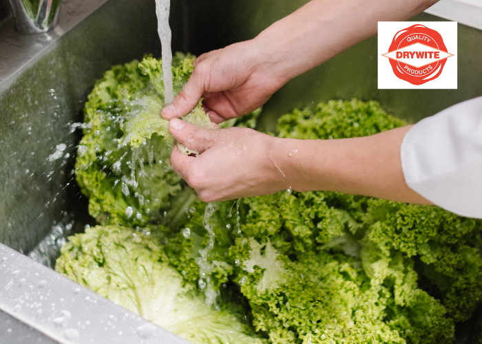 Washing vegetables 