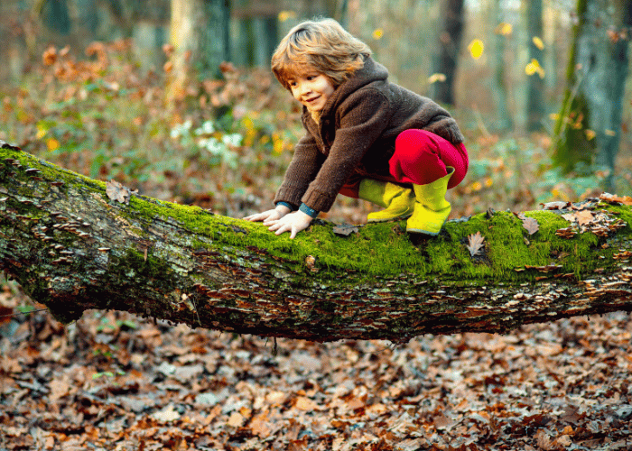 Young child playing on log