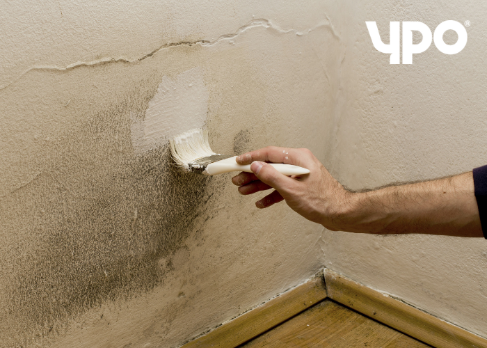 Man painting over mould on wall