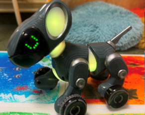 Pyxel Coding Robot