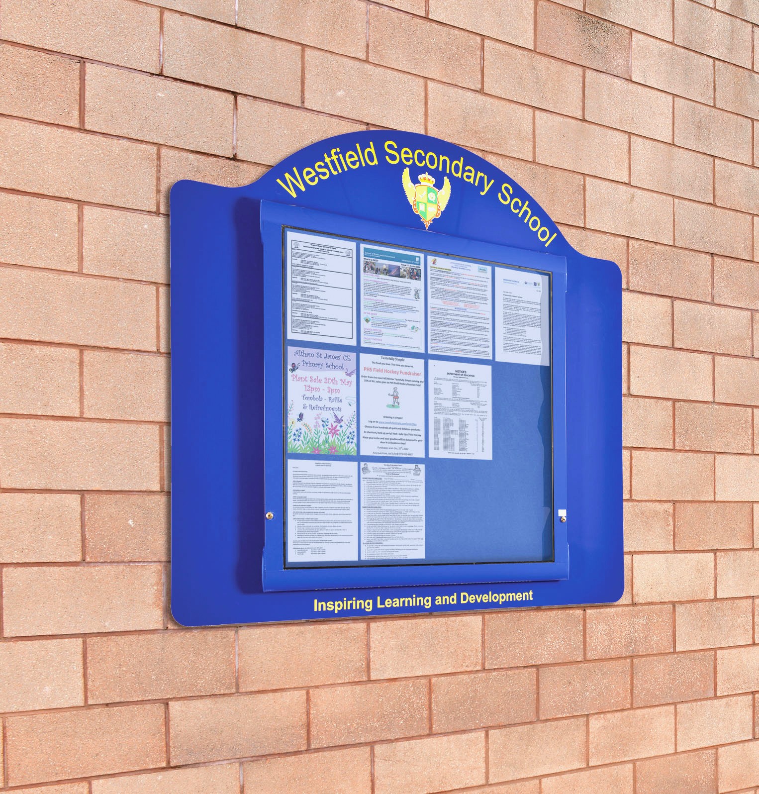 Display and Presentation