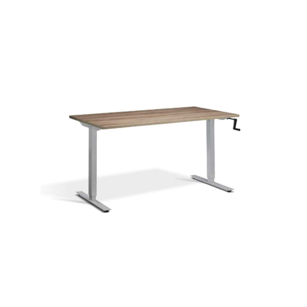 Standing and Adjustable Desks