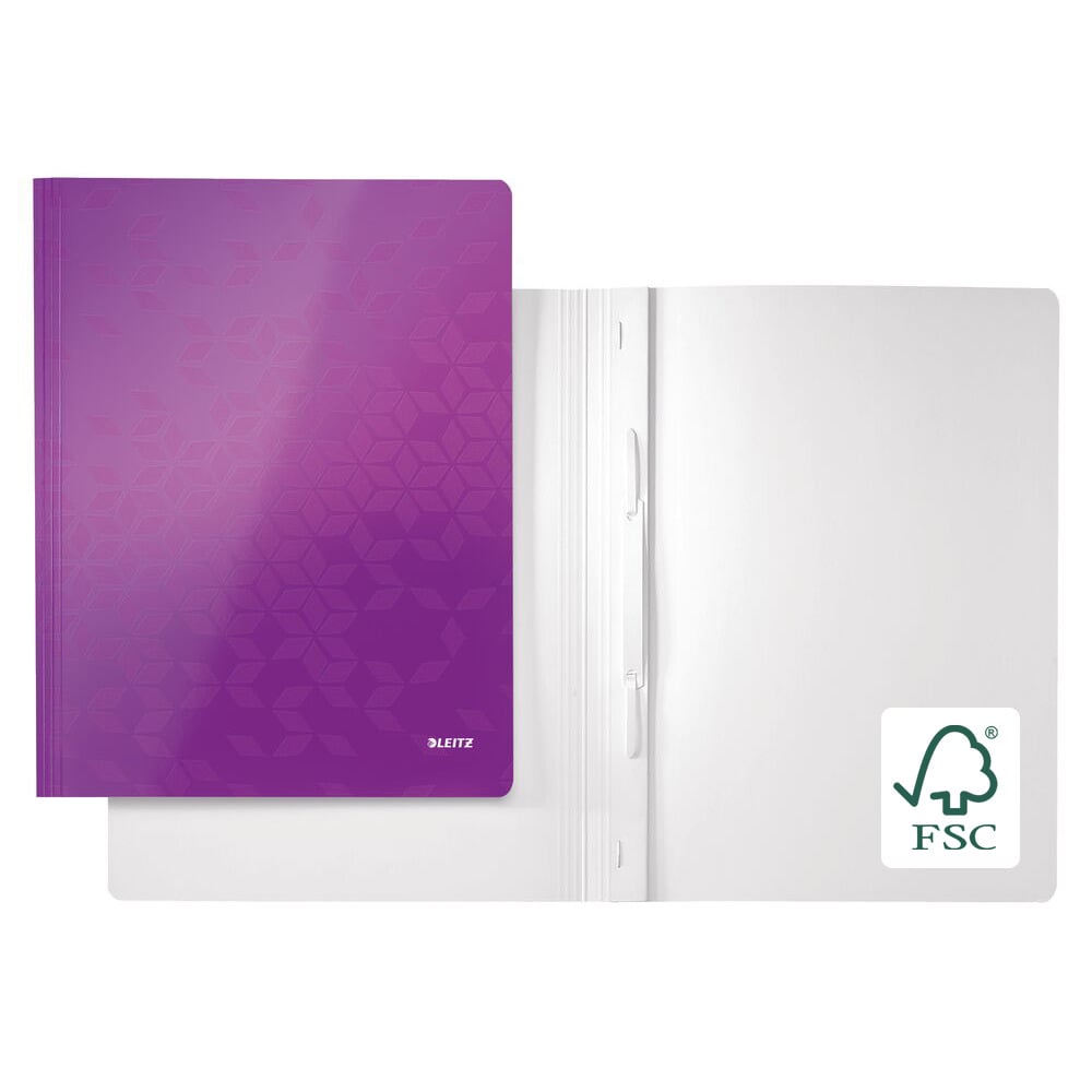 Manila Folders, Flat Files & Transfer Files